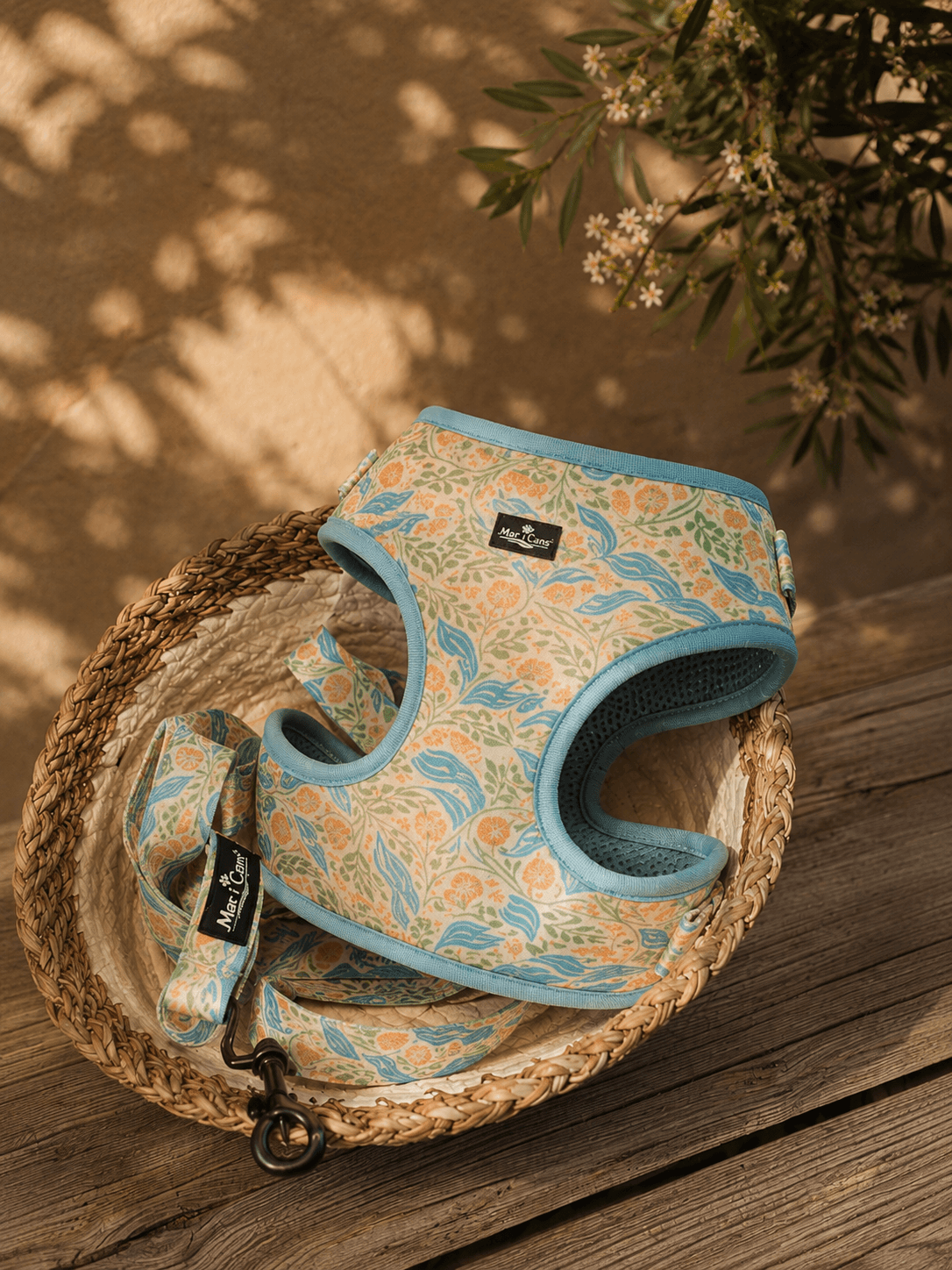 Conjunto Mediterráneo