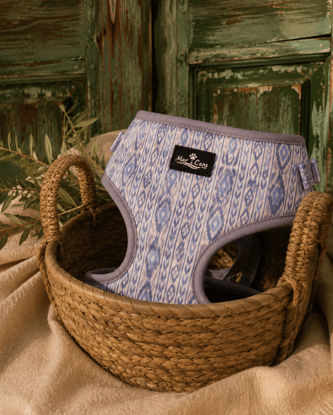 Conjunto Cala